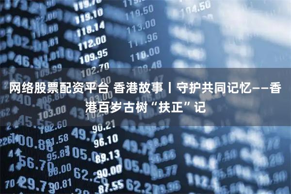 网络股票配资平台 香港故事丨守护共同记忆——香港百岁古树“扶正”记